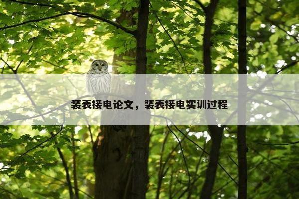 装表接电论文，装表接电实训过程