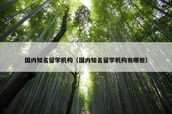 国内知名留学机构（国内知名留学机构有哪些）