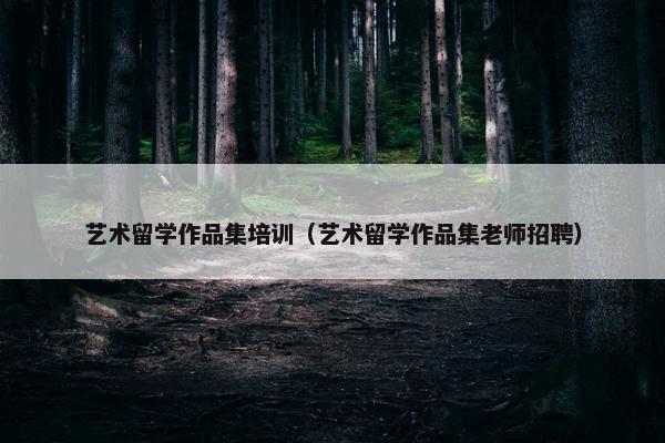艺术留学作品集培训（艺术留学作品集老师招聘）