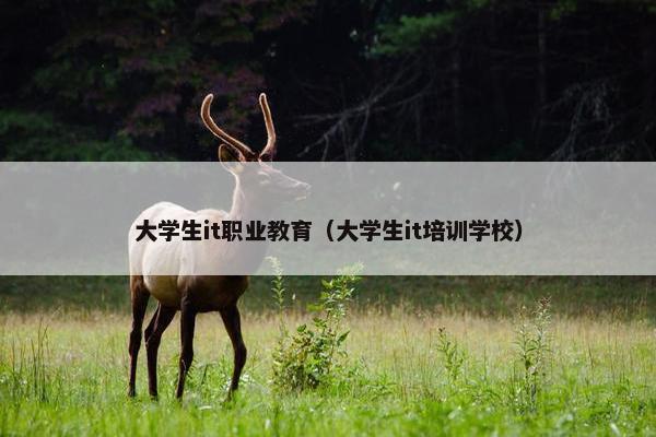 大学生it职业教育（大学生it培训学校）