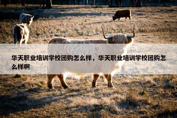 华天职业培训学校团购怎么样，华天职业培训学校团购怎么样啊