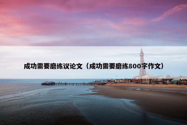 成功需要磨练议论文（成功需要磨练800字作文）