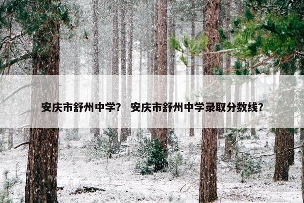 安庆市舒州中学？ 安庆市舒州中学录取分数线？