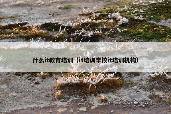 什么it教育培训（it培训学校it培训机构）