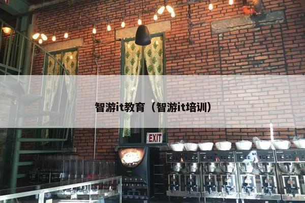 智游it教育（智游it培训）