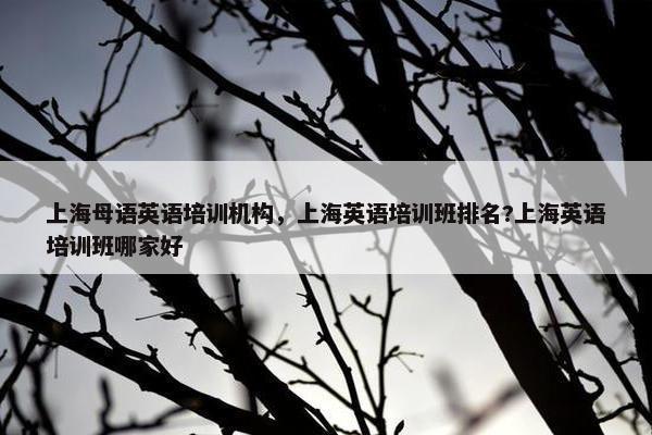 上海母语英语培训机构，上海英语培训班排名?上海英语培训班哪家好