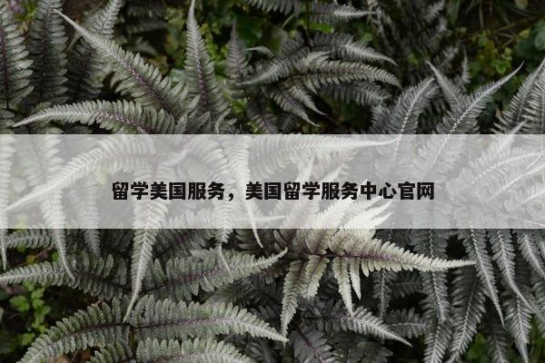 留学美国服务，美国留学服务中心官网