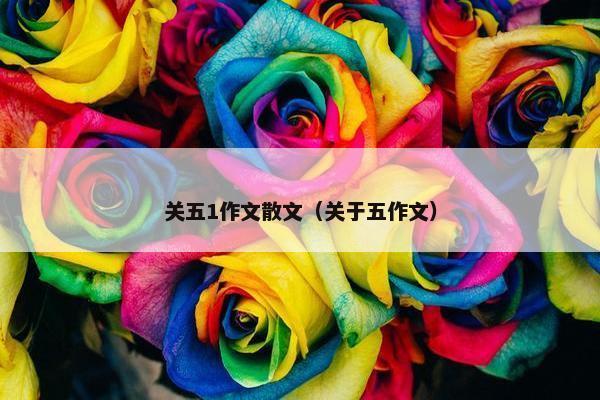 关五1作文散文（关于五作文）