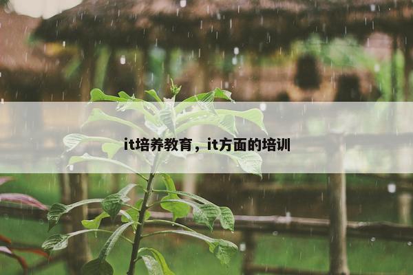 it培养教育，it方面的培训