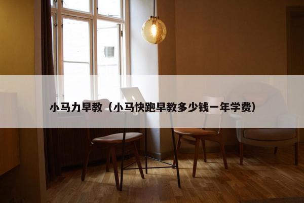 小马力早教（小马快跑早教多少钱一年学费）
