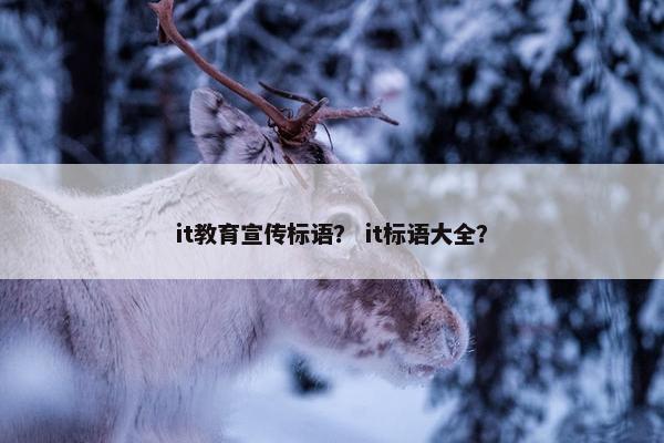it教育宣传标语？ it标语大全？