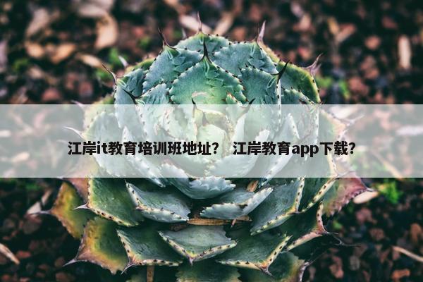 江岸it教育培训班地址？ 江岸教育app下载？