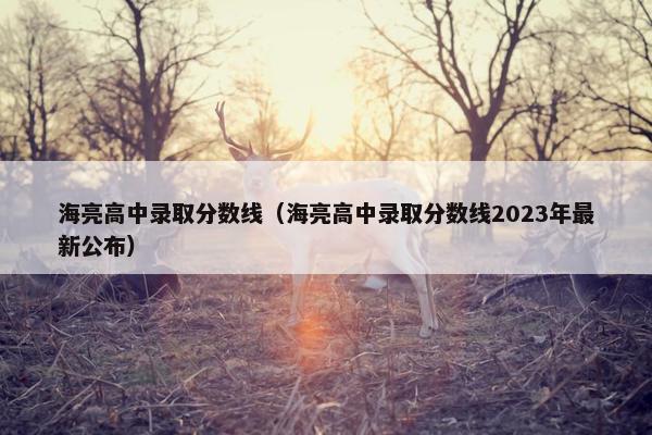 海亮高中录取分数线（海亮高中录取分数线2023年最新公布）