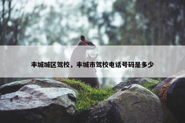 丰城城区驾校，丰城市驾校电话号码是多少