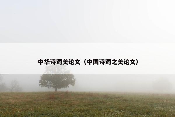 中华诗词美论文（中国诗词之美论文）