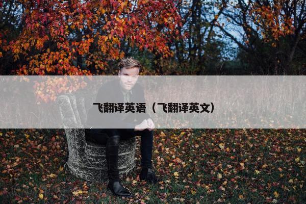 飞翻译英语（飞翻译英文）