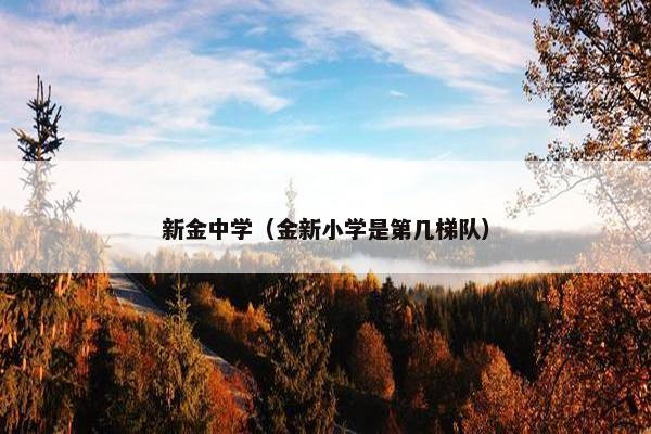 新金中学（金新小学是第几梯队）