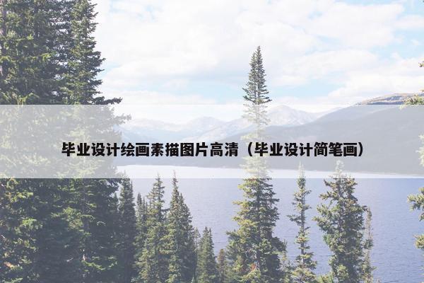 毕业设计绘画素描图片高清（毕业设计简笔画）