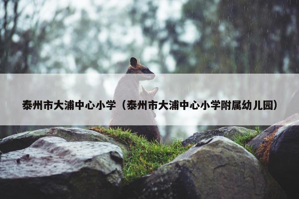 泰州市大浦中心小学（泰州市大浦中心小学附属幼儿园）