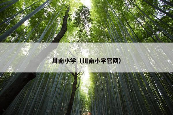川南小学（川南小学官网）