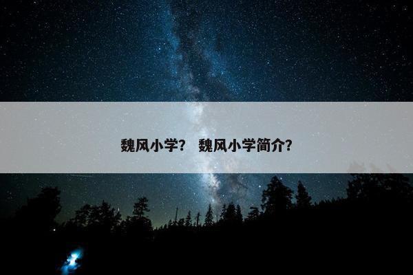 魏风小学？ 魏风小学简介？