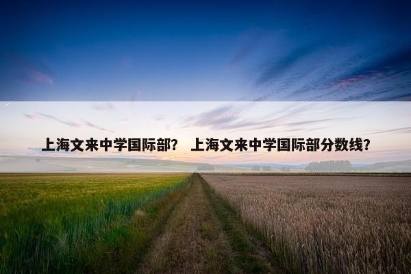 上海文来中学国际部？ 上海文来中学国际部分数线？