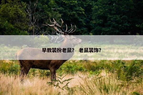 早教装扮老鼠？ 老鼠装饰？