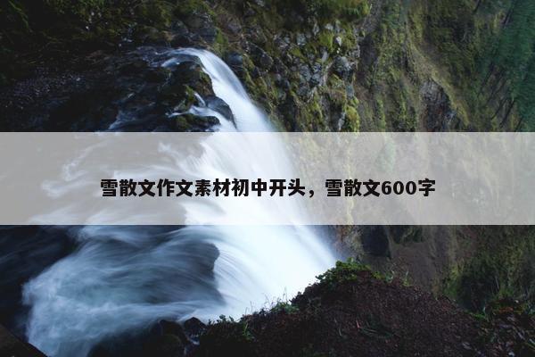 雪散文作文素材初中开头，雪散文600字