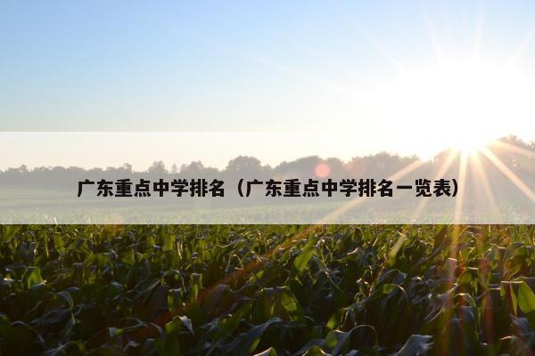广东重点中学排名（广东重点中学排名一览表）