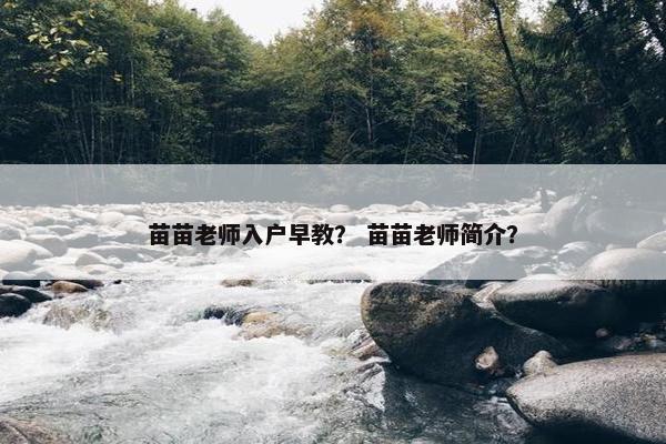 苗苗老师入户早教？ 苗苗老师简介？
