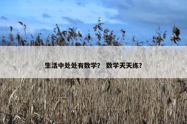 生活中处处有数学？ 数学天天练？