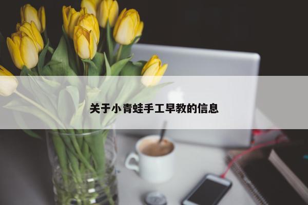 关于小青蛙手工早教的信息