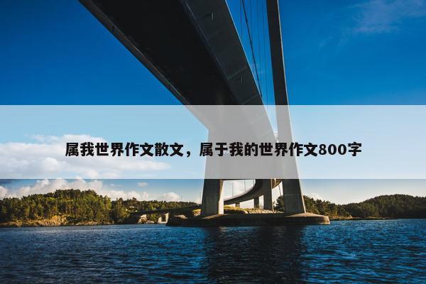 属我世界作文散文，属于我的世界作文800字