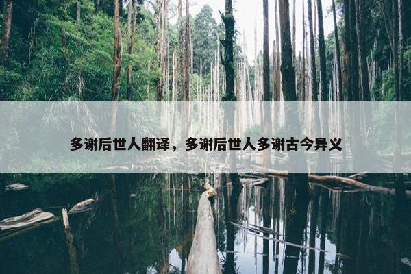 多谢后世人翻译，多谢后世人多谢古今异义