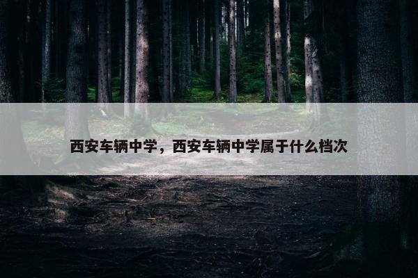 西安车辆中学，西安车辆中学属于什么档次