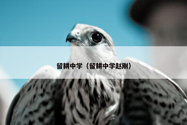 留耕中学（留耕中学赵刚）