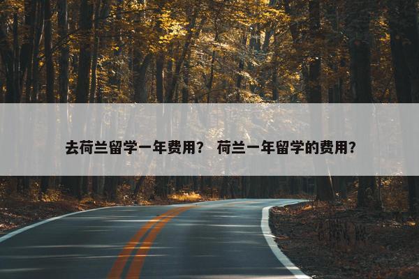 去荷兰留学一年费用？ 荷兰一年留学的费用？