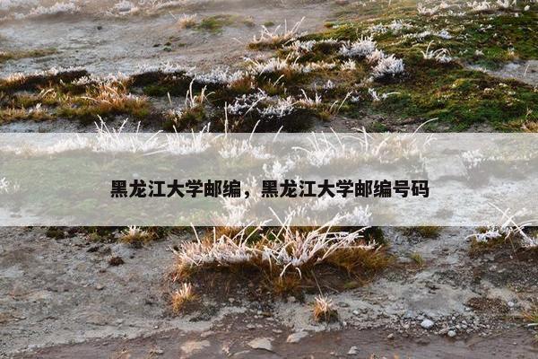 黑龙江大学邮编，黑龙江大学邮编号码