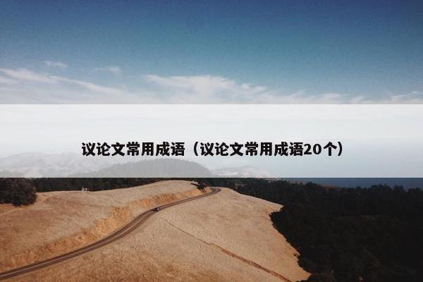 议论文常用成语（议论文常用成语20个）