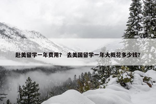 赴美留学一年费用？ 去美国留学一年大概花多少钱？