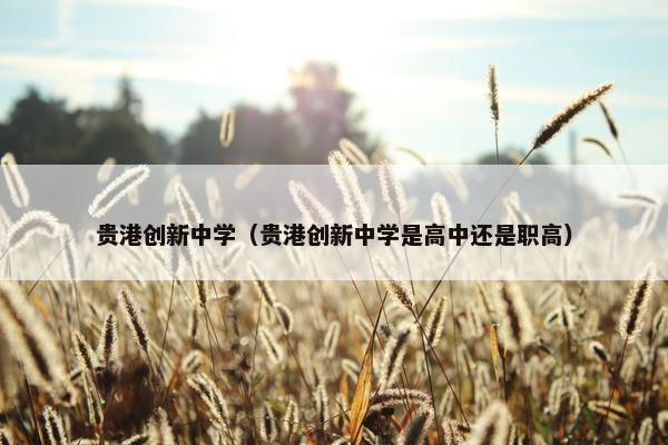 贵港创新中学（贵港创新中学是高中还是职高）