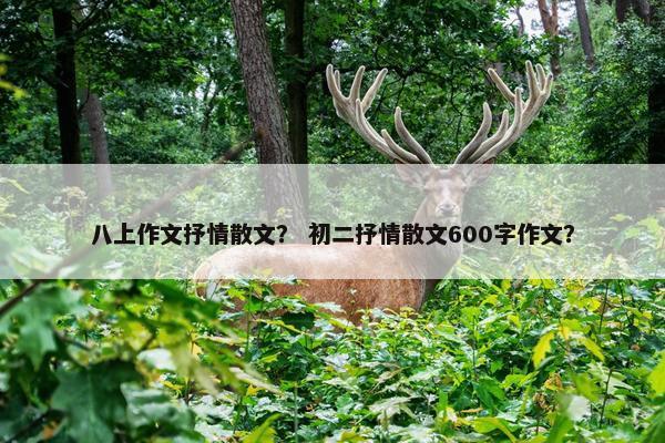 八上作文抒情散文？ 初二抒情散文600字作文？