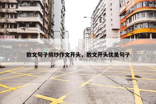 散文句子摘抄作文开头，散文开头优美句子