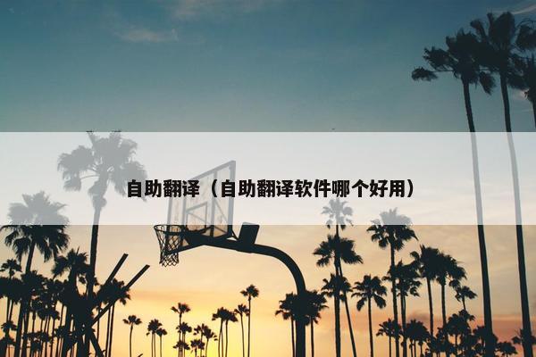 自助翻译（自助翻译软件哪个好用）