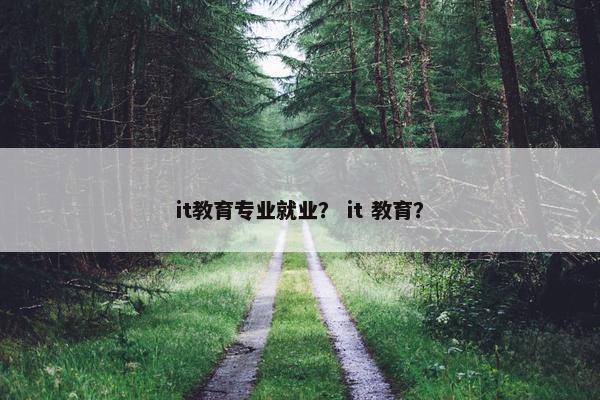 it教育专业就业？ it 教育？