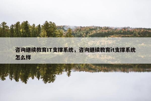 咨询继续教育IT支撑系统，咨询继续教育it支撑系统怎么样