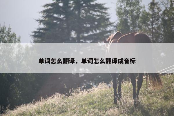 单词怎么翻译，单词怎么翻译成音标