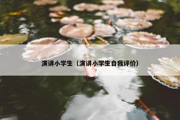 演讲小学生（演讲小学生自我评价）
