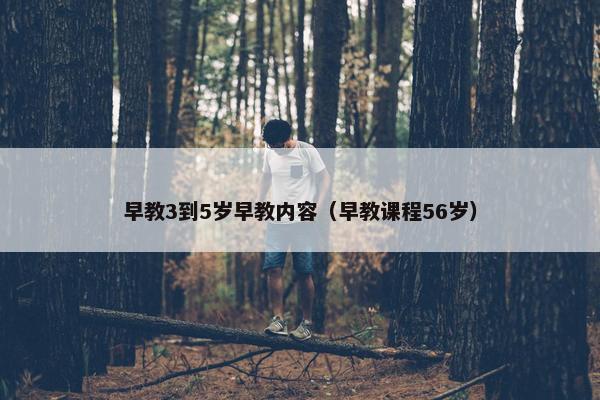 早教3到5岁早教内容（早教课程56岁）