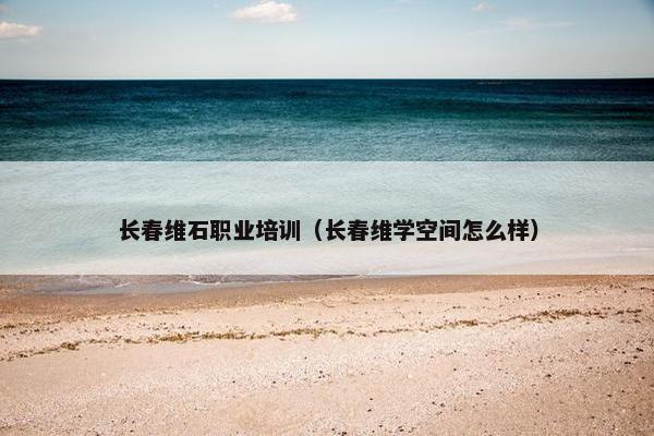 长春维石职业培训（长春维学空间怎么样）